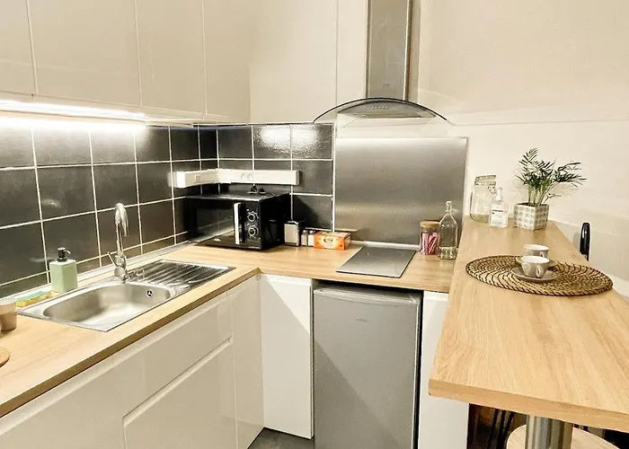 Centre-ville Petite Venise Apartment Colmar